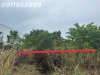 z6178299820940_151bf18cd1d608653f1e25e3038960bb.jpg