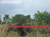 z6178299840116_0356e26ea749deb05180f690371e1daa.jpg