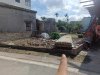 508530ad1263993dc072.jpg