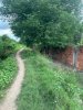 z7040821330436_998b1c371e7fcc43b46123fc5f545e10.jpg