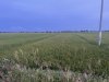 z7041589720846_35cb1e42872988108c13aec1728b6e8f.jpg
