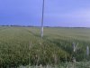 z7041589770758_e7b92e30adc5e440c1fa834922486158.jpg