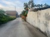 87554faf16829cdcc59319.jpg