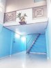 IMG_7282.jpeg