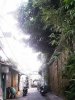 IMG_7285.jpeg