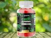 Terra-Pro-CBD-Gummies.jpg
