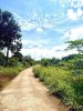 z7360133529913_f73536f43bfa67038515c60f024bfa34.jpg