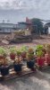 z7367860117326_5fb27747a5b639d31ff64892cb310f92.jpg