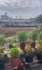 z7367860088592_e1a392e939e465c80e0c78315c6e45e7.jpg