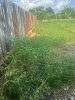 z7401620439343_8ef3f3ac0569e4944af1a9447744e4dd.jpg