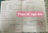 z7412151353135_23fa93d8020066711a76b00e965baefc.jpg