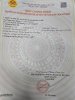 z7413248564354_ecf4a3a71283eb89f64ffb4c149ab874.jpg