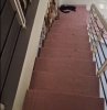 z7436850588244_fdaec372d2f974633633c6acff6b7c4e.jpg