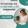 robin0737.jpeg