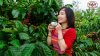 cà phê vương thành công.jpg