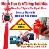 khanh-treo-xe-o-to-hop-tuoi-mao-tuong-phat-de-xe-o-to5.jpg