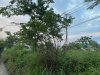 z6186369013282_f3d39afee211d515c36eb8aa046347e4.jpg