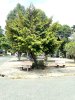 ban-nha-khu-ben-song-hiep-binh-chanh-120-m2-4-tang-chi-16-ty (6).JPG